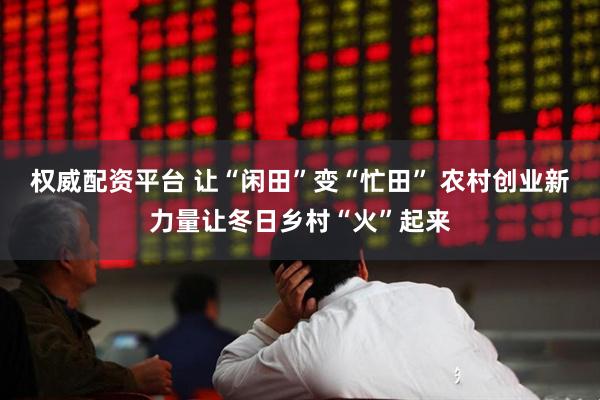 权威配资平台 让“闲田”变“忙田” 农村创业新力量让冬日乡村“火”起来